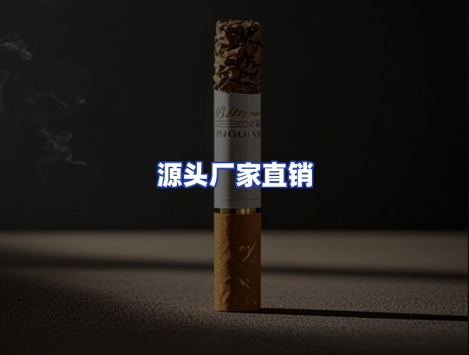 专业团队